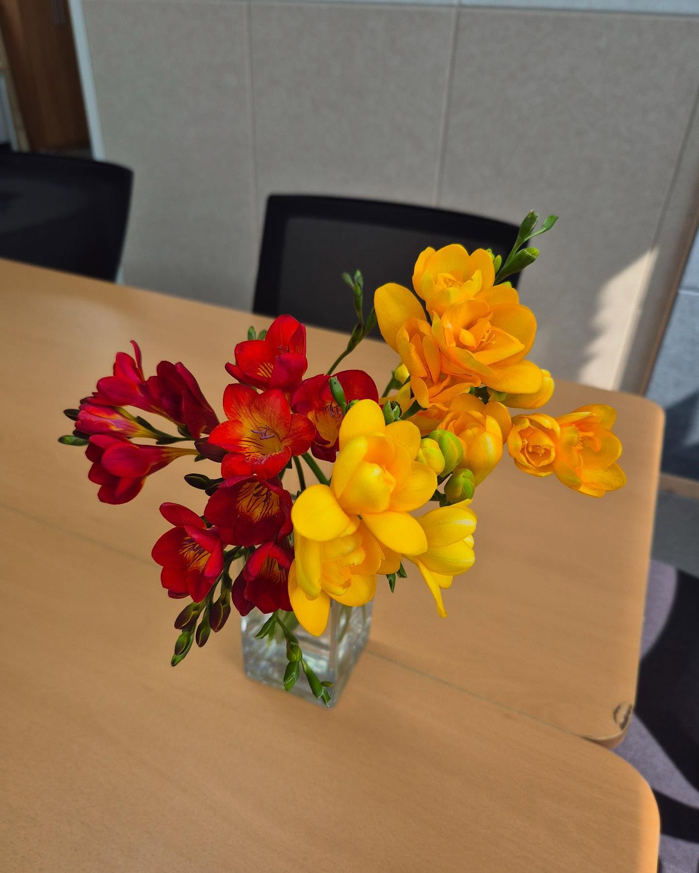 3월 23일 주일예배.
꽃 좋아하니까 교회에 꽃이 있어요.🥰